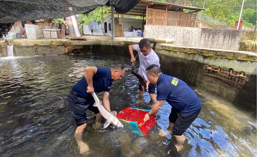 东升国际官网-不凡成就非凡,相信品牌力量