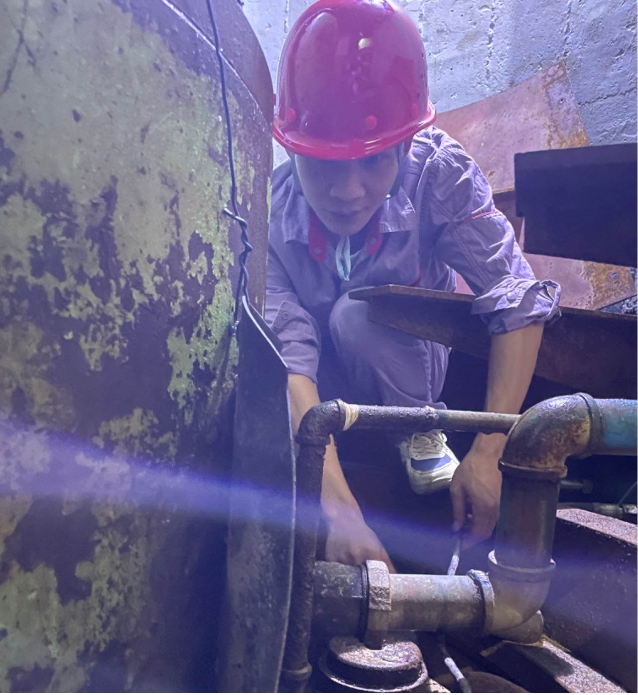 东升国际官网-不凡成就非凡,相信品牌力量